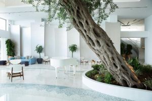 Hotel Domes Miramare, a Luxury Collection Resort