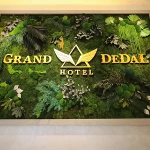 Hotel Grand Dedal