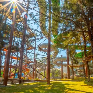 Long Beach Club Nature