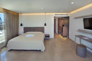 Nelia Beach Hotel and Spa