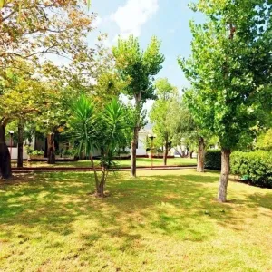 Alykes Park Bungalows and Apartments
