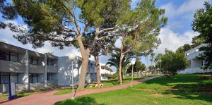 Hotel AluaSun Cala Antena
