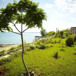 Grand Hotel Sveti Vlas