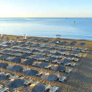 The X Belek
