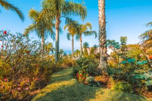 Hotel Ocean Gardens