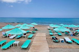 Joan Beach