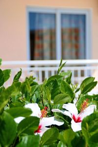 DIAGORAS HOTEL