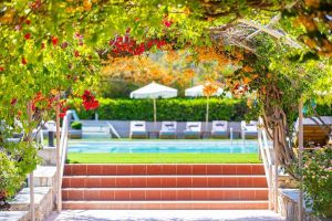 Dias by Azul Collection