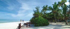 Ananea Diamonds Mapenzi Beach