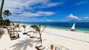 Dream of Zanzibar