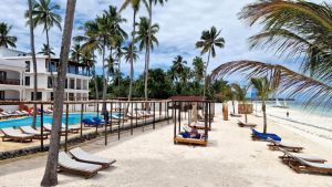 Dream of Zanzibar