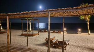 Dream of Zanzibar