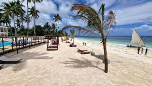 Dream of Zanzibar