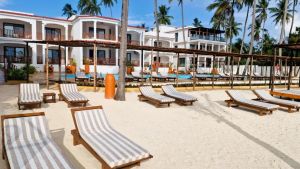Dream of Zanzibar