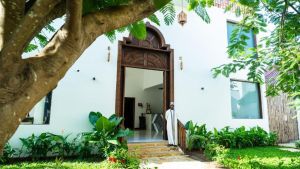 Dream of Zanzibar
