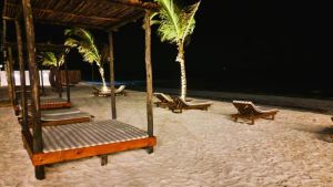 Dream of Zanzibar