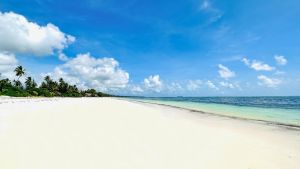 Palumbo Mnemba View Resort