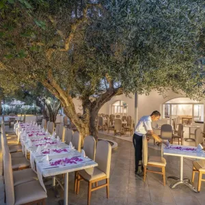 Le Hammamet