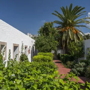 Le Hammamet