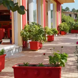 Brati Arkoudi Hotel