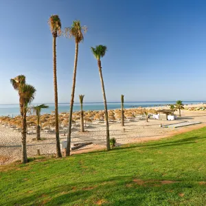 One Resort Premium