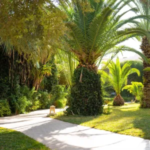 Eden Yasmine Resort &amp; Spa