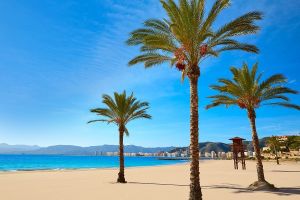 VALENCIA 2026 - Un melanj fascinant intre trecut si viitor