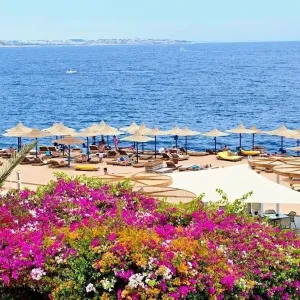 Amphoras Blu (Ex Shores Aloha Resort)
