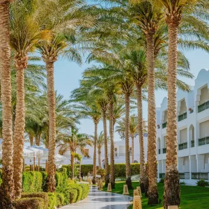 Hotel Baron Palms Resort