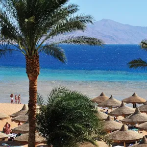 Hotel Baron Palms Resort