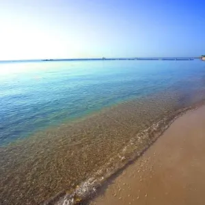 Hotel Baron Resort