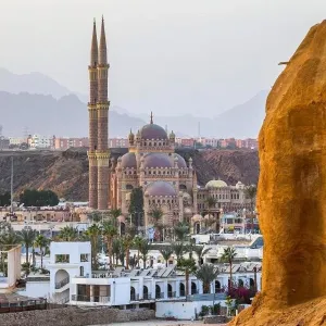 Albatros Sharm Resort By Pickalbatros
