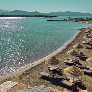 Anda Barut Collection