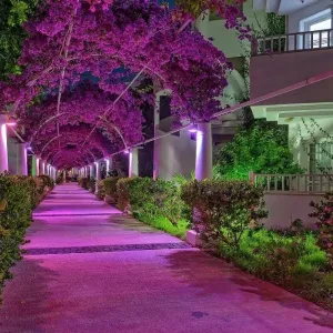 Bendis Beach Hotel