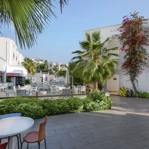 Club Shark Hotel