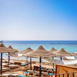 Dive Inn Resort