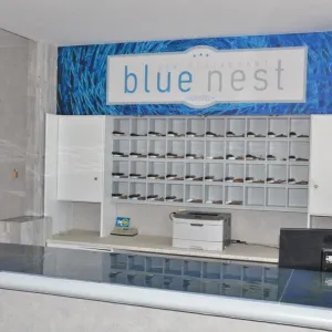Blue Nest