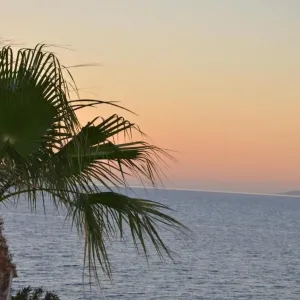 Costa Angela