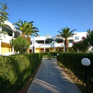Tropical Sol