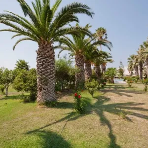Tigaki Beach