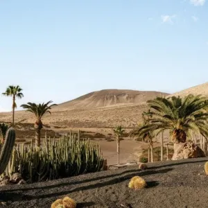 Paradisus by Meliá Fuerteventura