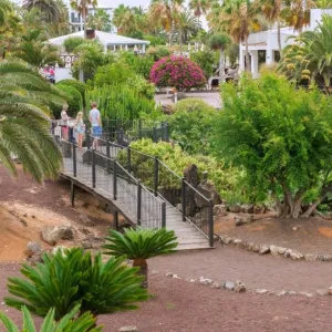 Las Marismas de Corralejo