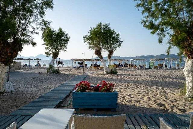SEASIDE BEACH MARMARI