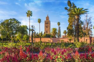 Revelion Maroc Farmecul African — Bucuresti