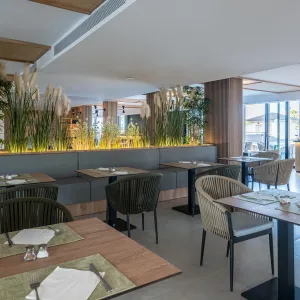 THB Bamboo Alcudia