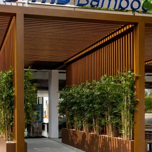 THB Bamboo Alcudia