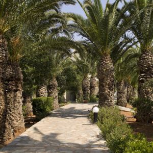 Hotel Lyttos Beach