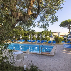 Terme Principe