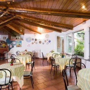 Park Hotel Mediterraneo