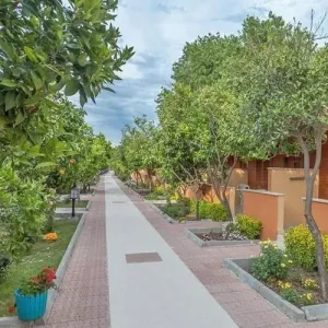 Ozlem Garden